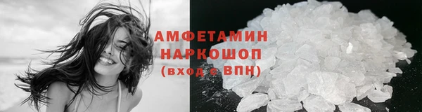 шишки Абаза