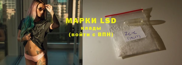шишки Абаза