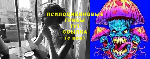 шишки Абинск