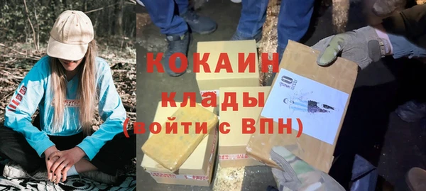 шишки Абаза