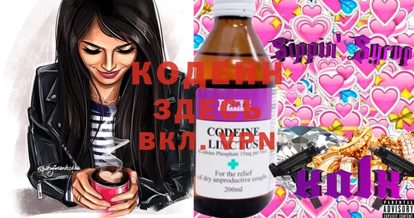 шишки Абаза